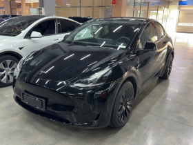 特斯拉 Model Y 2021款 标准续航后驱版