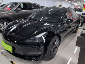 特斯拉 Model 3 2022款 Performance高性能全轮驱动版