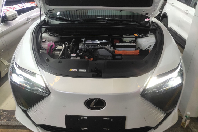 雷克萨斯RZ 2023款 450e 四驱纵享版局部细节24