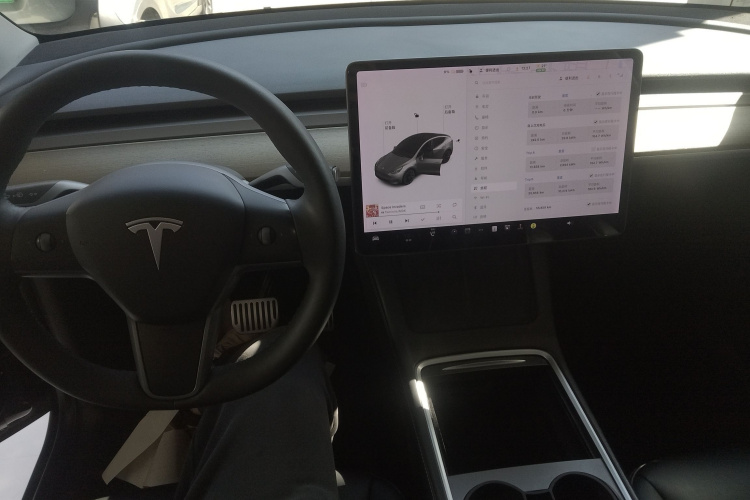 特斯拉 Model Y 2021款 长续航全轮驱动版中控内饰12
