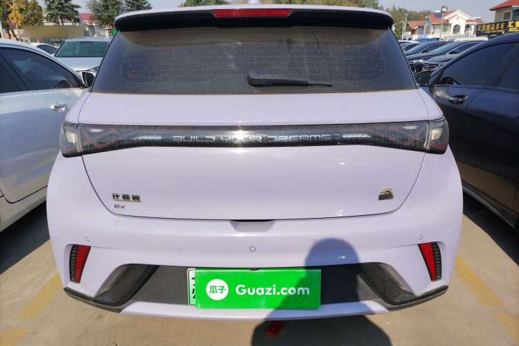 比亚迪 海豚 2023款 420km 时尚版车身外观6