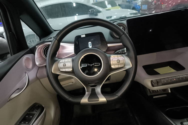 比亚迪 海豚 2023款 420km 时尚版局部细节13