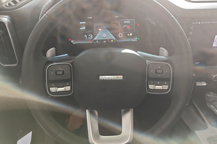 哈弗大狗 2024款 1.5T DCT边牧版中控内饰13