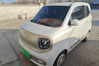 奔腾小马 2025款 222km 闪电马