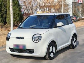 长安启源 长安Lumin 2023款 205km 香沁款