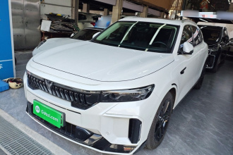 岚图汽车 岚图FREE 2024款 超长续航智驾版