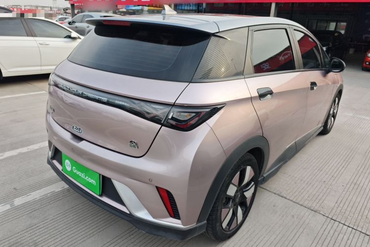 比亚迪 海豚 2021款 401km 骑士版车身外观6005