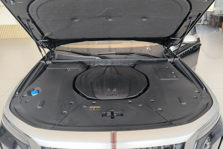 红旗H9 2024款 2.0T 旗畅 私享风尚版局部细节24