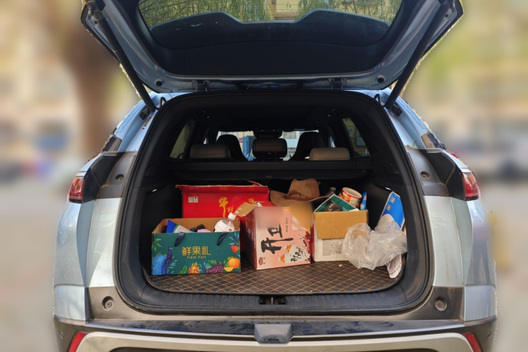 比亚迪 护卫舰07 2023款 DM-i 100KM 尊贵型局部细节23