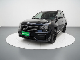 广汽传祺 传祺GS8 2021款 390T 四驱暗夜骑士版