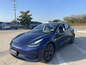 特斯拉 Model 3 2020款 改款 标准续航后驱升级版