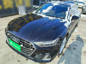 奥迪A7L 2024款 45TFSI quattro S-line 见远型 流晶套装