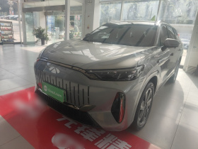 奇瑞 风云T10 2024款 210 奢享版