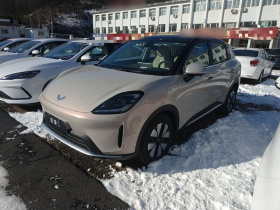 五菱汽车 缤果S 2025款 325km 尊享款