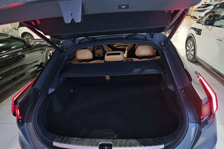 极氪001 2021款 超长续航单电机 WE版机舱底盘23