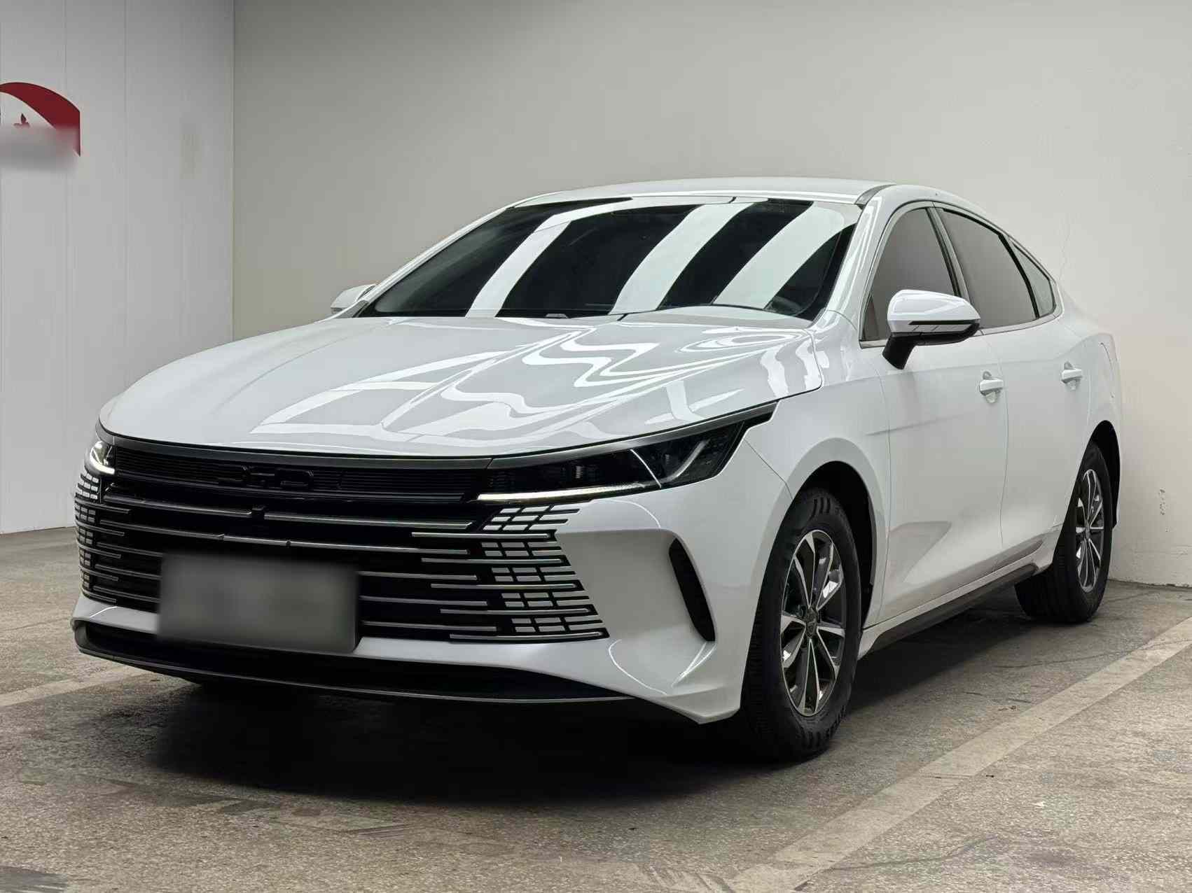 比亚迪 驱逐舰05 2024款 荣耀版 DM-i 55KM 豪华型(1)