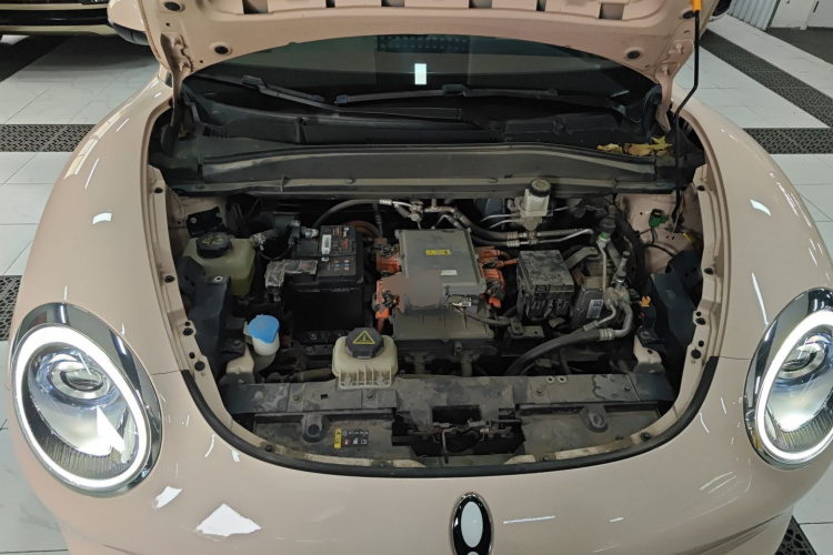 欧拉好猫 2021款 400km标准续航 雅典娜版 磷酸铁锂局部细节24