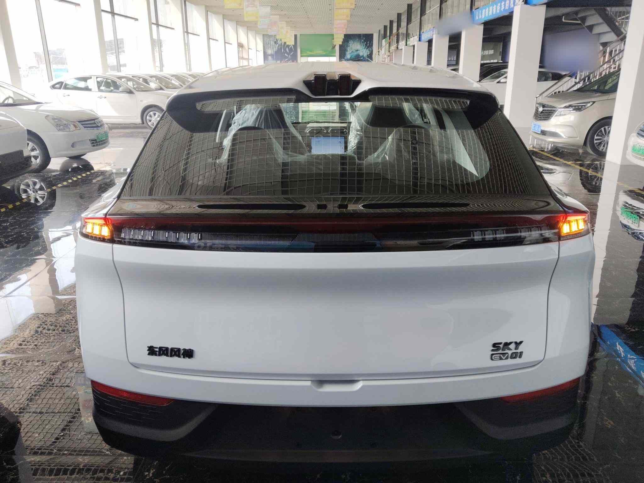 东风风神 SKY EV01 2025款 530km AIR(4)