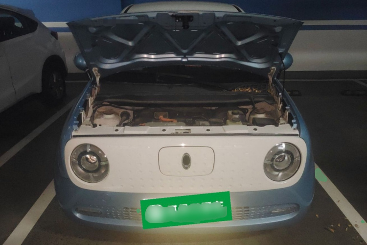 欧拉黑猫 2021款 351km 标准型局部细节24