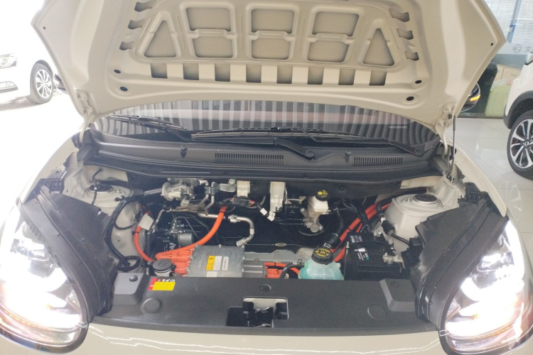 五菱汽车 五菱缤果 2023款 333km 悦享款机舱底盘24