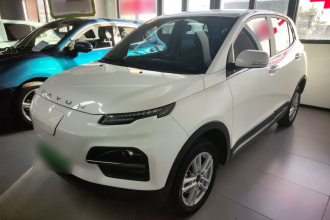 大运 悦虎 2022款 30.66kWh 两驱标准版