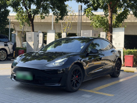 特斯拉 Model 3 2022款 后轮驱动版