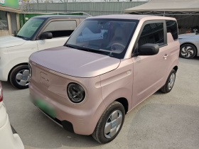 吉利银河 2023款 熊猫mini 200km 耐力熊