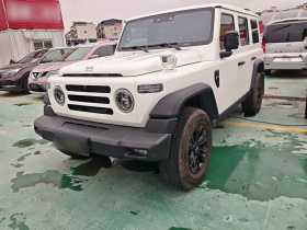 212 T01 2024款 2.0T 探险家