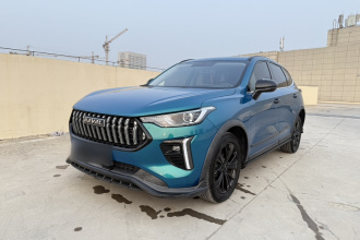 哈弗赤兔 2021款 激擎版 1.5T 白银兔