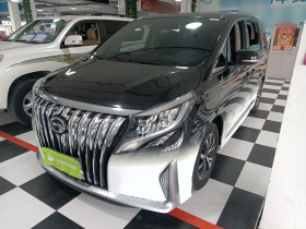 广汽传祺 传祺M8 2023款 领秀系列 390T 尊享版