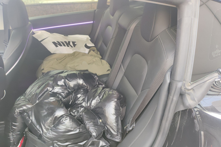 特斯拉 Model 3 2020款 标准续航后驱升级版中控内饰7004