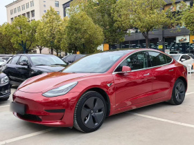 特斯拉 Model 3 2019款 标准续航后驱升级版