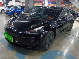 特斯拉 Model 3 2021款 标准续航后驱升级版 3D6