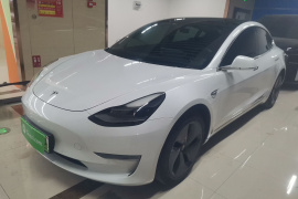 特斯拉 Model 3 2020款 改款 长续航后轮驱动版