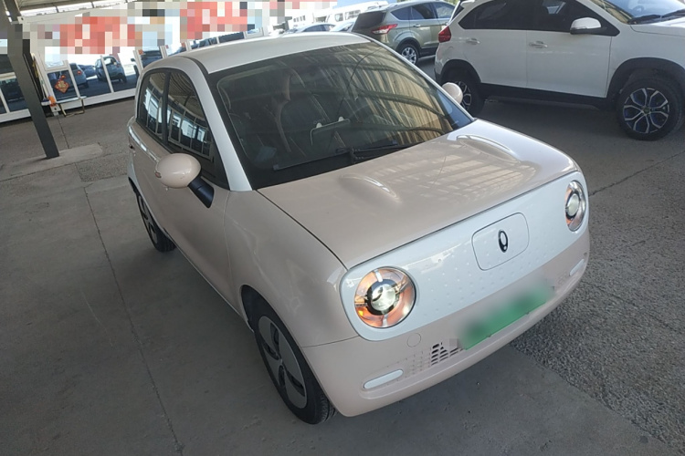 欧拉黑猫 2022款 301km 基础型 三元锂车身外观3