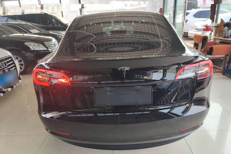 特斯拉 Model 3 2020款 标准续航后驱升级版车身外观6004