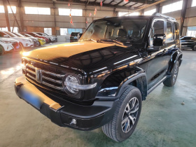 坦克300 2021款 城市版 2.0T 很有型