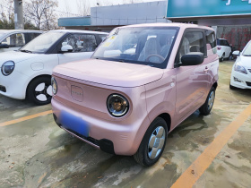 吉利银河 2024款 熊猫mini 200km 耐力熊