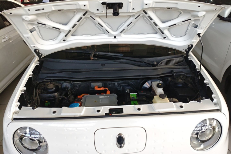 欧拉黑猫 2019款 351km 灵智版局部细节24