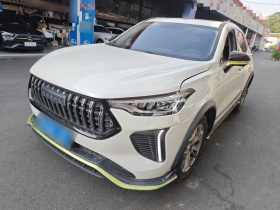 哈弗赤兔 2022款 劲享版 1.5T 紫铜兔