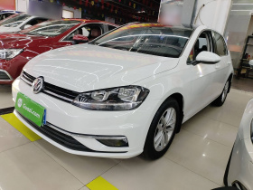 大众 高尔夫 2018款 230TSI 自动舒适型