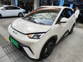 比亚迪 海鸥 2024款 荣耀版 405km 飞翔版