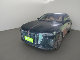 红旗H9 2025款 2.0T 两驱旗享豪华商务版 5座