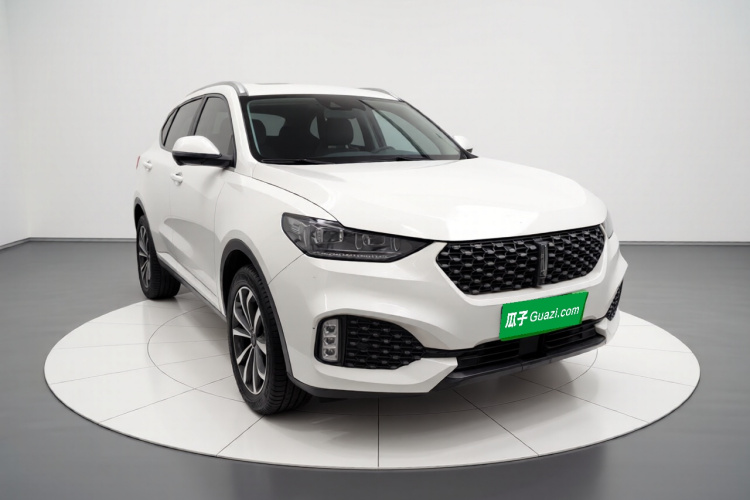 魏牌 VV6 2020款 2.0T 两驱智享+车身外观3