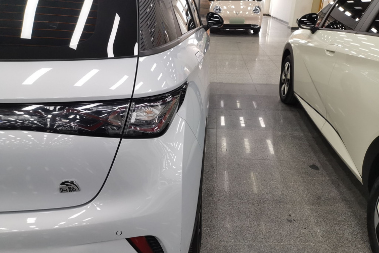 比亚迪 海豚 2021款 405km 自由版车身外观9