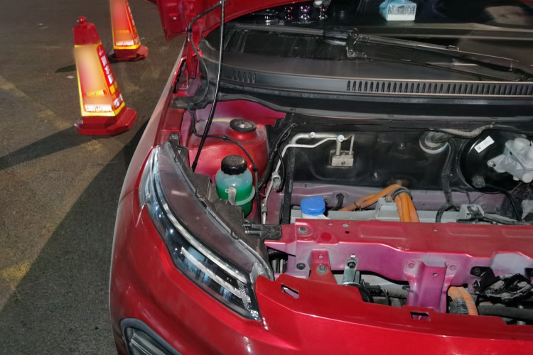 大运 悦虎 2022款 30.66kWh 两驱标准版局部细节9006