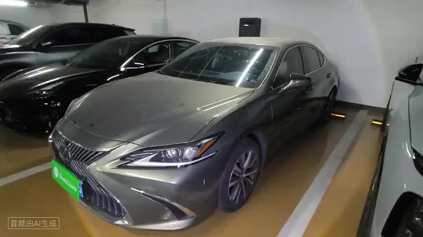 雷克萨斯ES 2018款 200 卓越版 国VI检测视频1