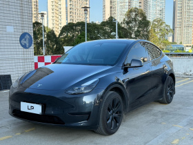特斯拉 Model Y 2024款 后轮驱动版