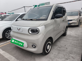 五菱汽车 宏光MINIEV 2024款 第三代 215km 青春版