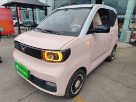 五菱汽车 宏光MINIEV 2022款 马卡龙臻享款 三元锂